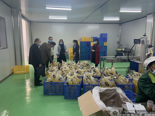 建行河池分行 精準(zhǔn)施策支持抗擊疫情與復(fù)工復(fù)產(chǎn) 兩不誤——以服裝行業(yè)為例